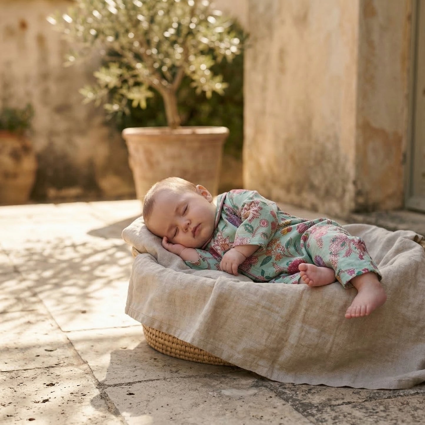 Cardamon -  One piece summer