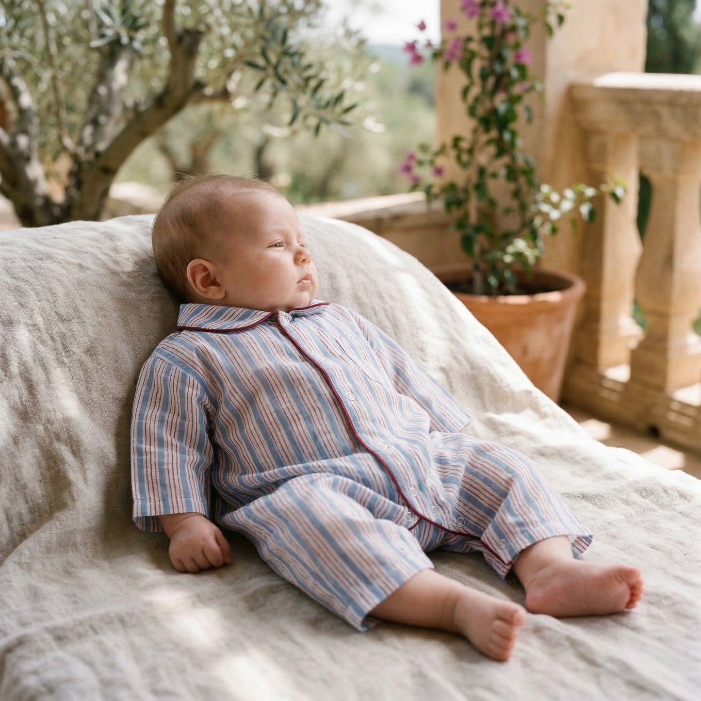 Cardamon -  One piece summer