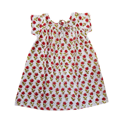 Jasmine Orange flowers